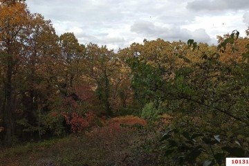 Фото №2: Участок садоводство 4 сот. - СНТ Восход, 43