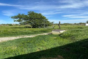 Фото №3: Земельный участок 6.19 сот. - Керчь, мкр. ТСН Орбита, пр-д Яблоневый