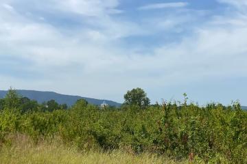 Фото №2: Коммерция 268 м² - Горячий Ключ, 