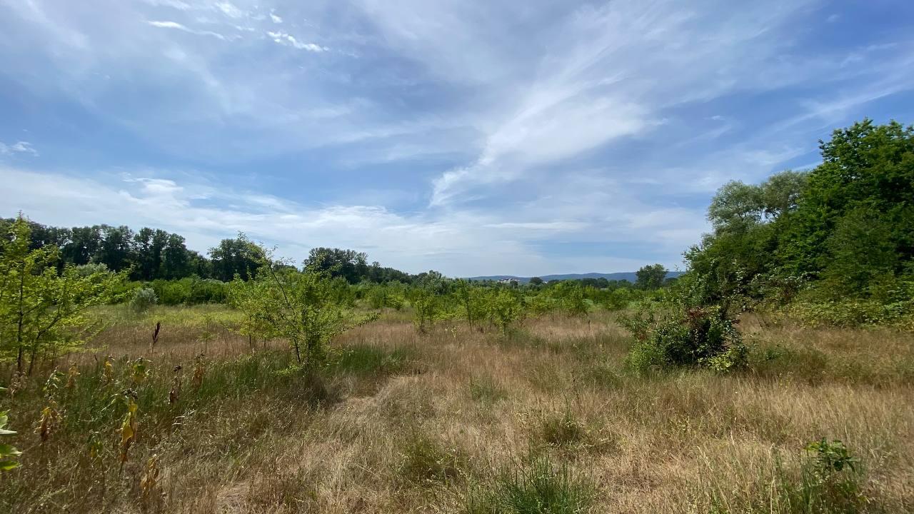 Фото №1: Коммерция 268 м² - Горячий Ключ