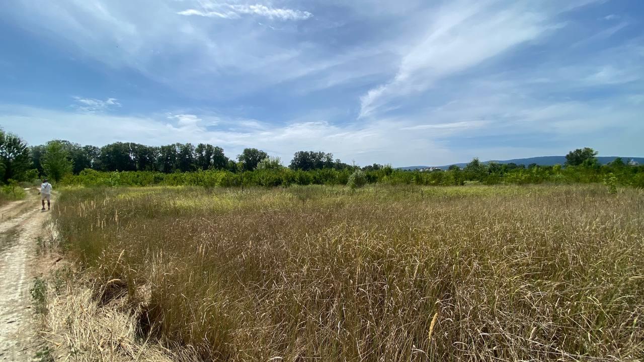 Фото №5: Коммерция 268 м² - Горячий Ключ