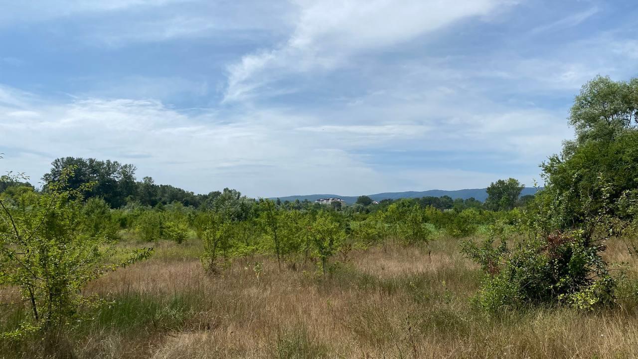 Фото №7: Коммерция 268 м² - Горячий Ключ