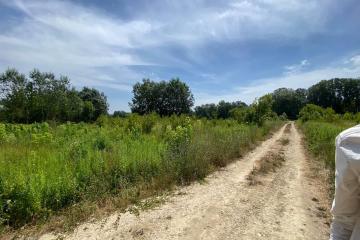 Фото №3: Коммерция 268 м² - Горячий Ключ, 