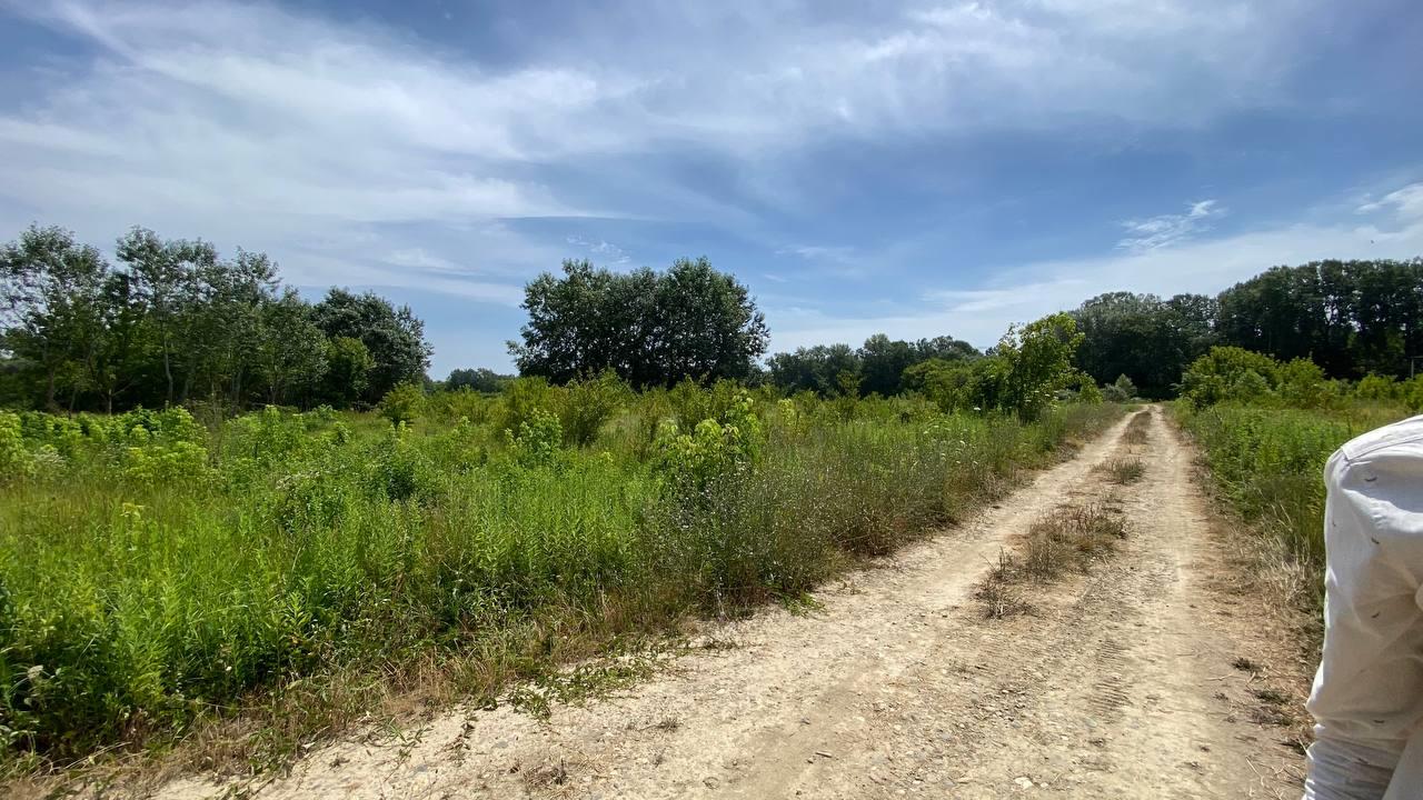 Фото №3: Коммерция 268 м² - Горячий Ключ