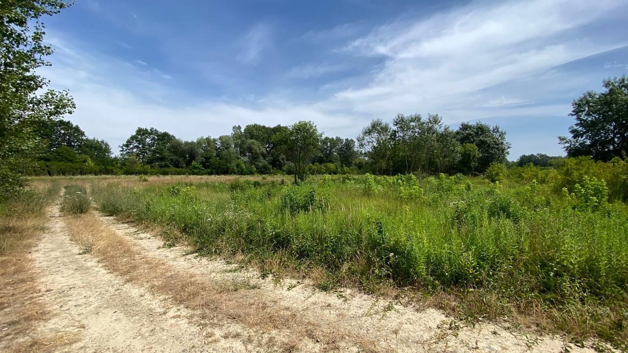 Фото №6: Коммерция 268 м² - Горячий Ключ