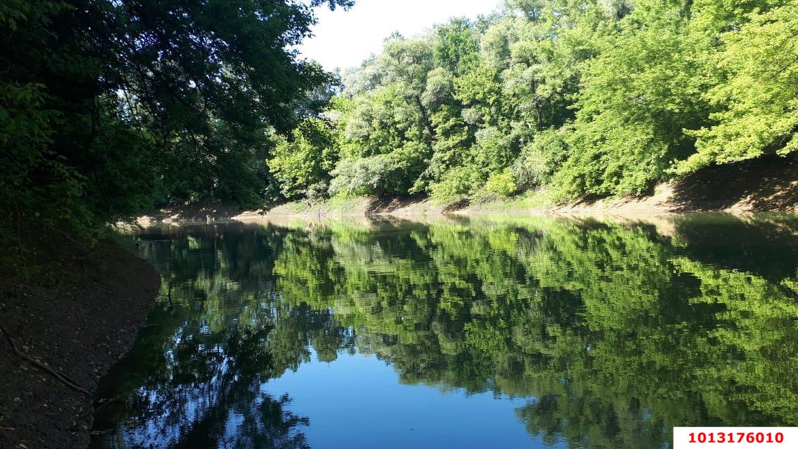 Фото №4: Личное подсобное хозяйство - ДНП Предгорье, ул. Университетская, 93