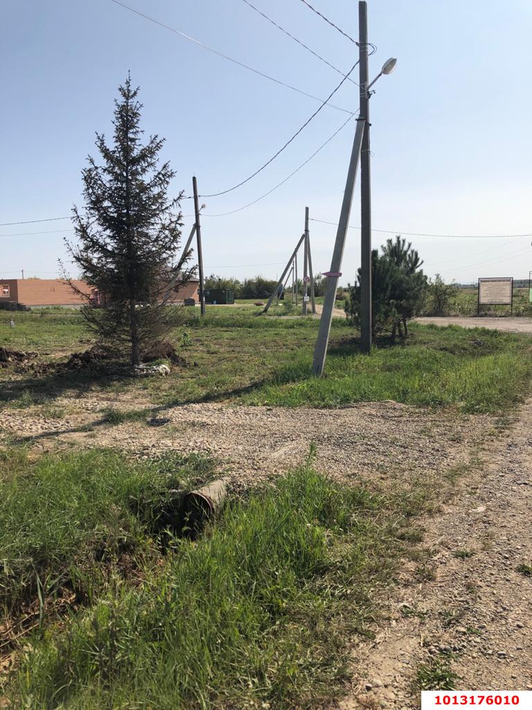 Фото №7: Личное подсобное хозяйство - ДНП Предгорье, ул. Университетская, 93