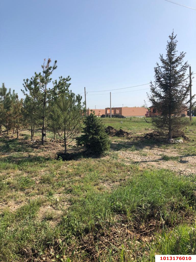 Фото №6: Личное подсобное хозяйство - ДНП Предгорье, ул. Университетская, 93