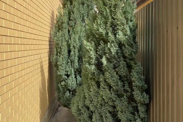 Фото №4: Дом 61 м² - Дружба, мкр. Прикубанский внутригородской округ, 450