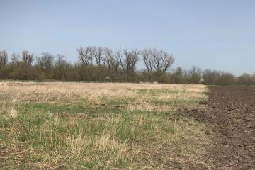 Фото №4: Земельный участок 200 сот. - Индустриальный, мкр. Прикубанский внутригородской округ, 1А