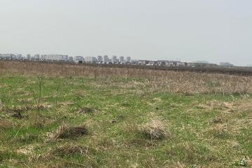 Фото №3: Земельный участок 200 сот. - Индустриальный, мкр. Прикубанский внутригородской округ, 1А