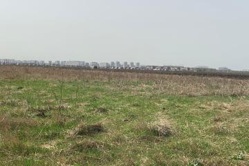 Фото №5: Земельный участок 200 сот. - Индустриальный, мкр. Прикубанский внутригородской округ, 1А