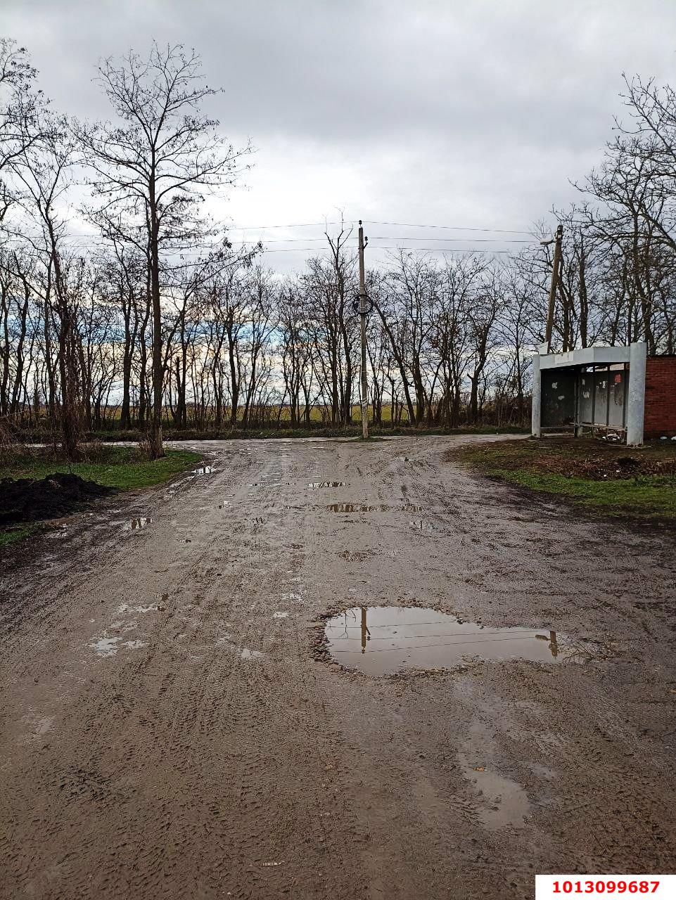 Фото №1: Личное подсобное хозяйство - Дружба, мкр. Карасунский внутригородской округ, ул. Яблоневая, 7