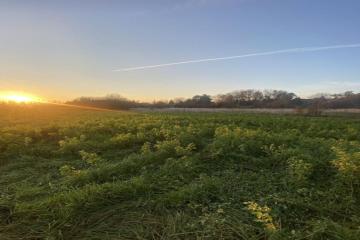 Фото №5: Дом 62 м² - Габукай, ул. Ленина, 70