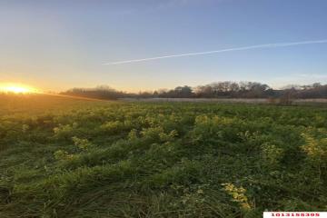 Фото №5: Дом 62 м² - Габукай, ул. Ленина, 70