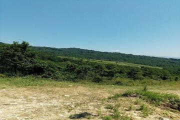 Фото №1: Земельный участок 5.18 сот. - Нижняя Шиловка, мкр. СТ Южное взморье, 116