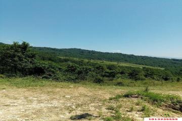 Фото №1: Земельный участок 5.18 сот. - Нижняя Шиловка, мкр. СТ Южное взморье, 116