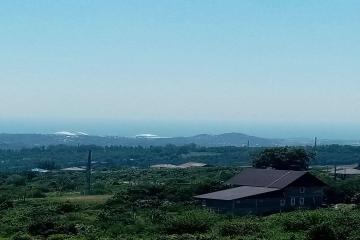 Фото №4: Земельный участок 5.18 сот. - Нижняя Шиловка, мкр. СТ Южное взморье, 116