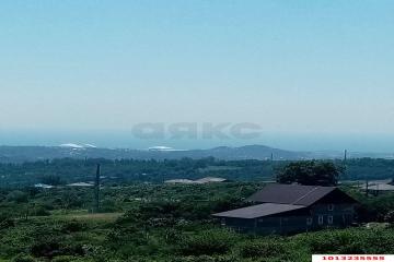 Фото №4: Земельный участок 5.18 сот. - Нижняя Шиловка, мкр. СТ Южное взморье, 116