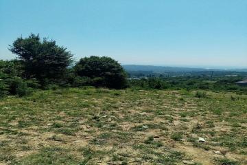 Фото №3: Земельный участок 5.18 сот. - Нижняя Шиловка, мкр. СТ Южное взморье, 116