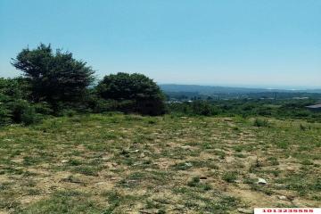 Фото №3: Земельный участок 5.18 сот. - Нижняя Шиловка, мкр. СТ Южное взморье, 116