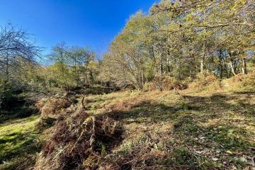 Фото №2: Земельный участок 5.18 сот. - Нижняя Шиловка, мкр. СТ Южное взморье, 116