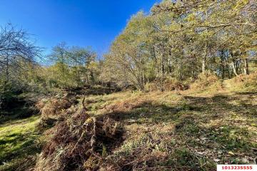 Фото №2: Земельный участок 5.18 сот. - Нижняя Шиловка, мкр. СТ Южное взморье, 116