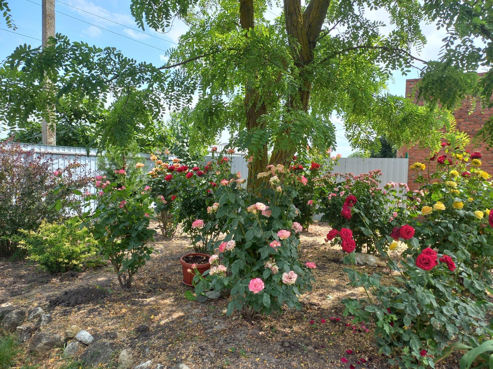 Фото №10: Дом 104 м² + 23.5 сот. - Ивановская