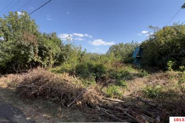 Фото №5: Личное подсобное хозяйство - Виктория, мкр. Прикубанский внутригородской округ, пер. Островной, 2А