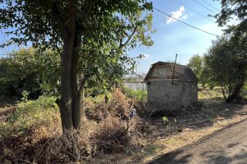 Фото №4: Личное подсобное хозяйство - Виктория, мкр. Прикубанский внутригородской округ, пер. Островной, 2А