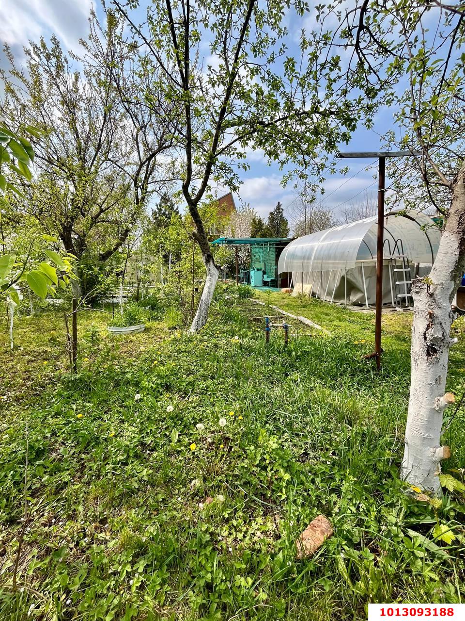 Фото №17: Дом 85 м² + 8.06 сот. - Шоссейное, Прикубанский внутригородской округ, ул. Абрикосовая, 42
