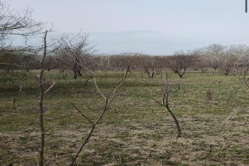 Фото №2: Земельный участок 16.17 сот. - Свободный, 