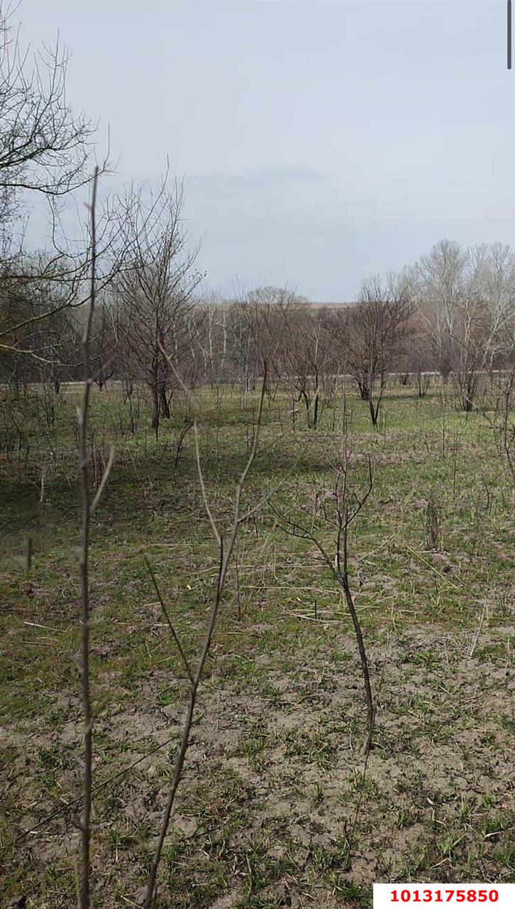 Фото №2: Земельный участок под ИЖС - Свободный