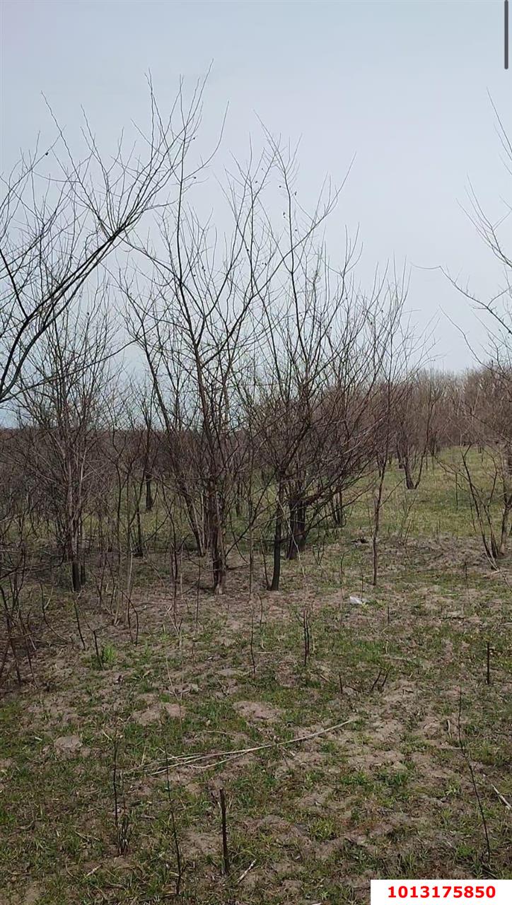 Фото №3: Земельный участок под ИЖС - Свободный