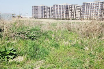 Фото №1: Земельный участок под ИЖС 5.75 сот. - Новая Адыгея, 