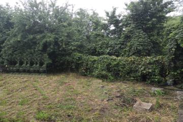 Фото №5: Дом 246 м² - Октябрьский, ст Тополь, ул. Клубничная, 35