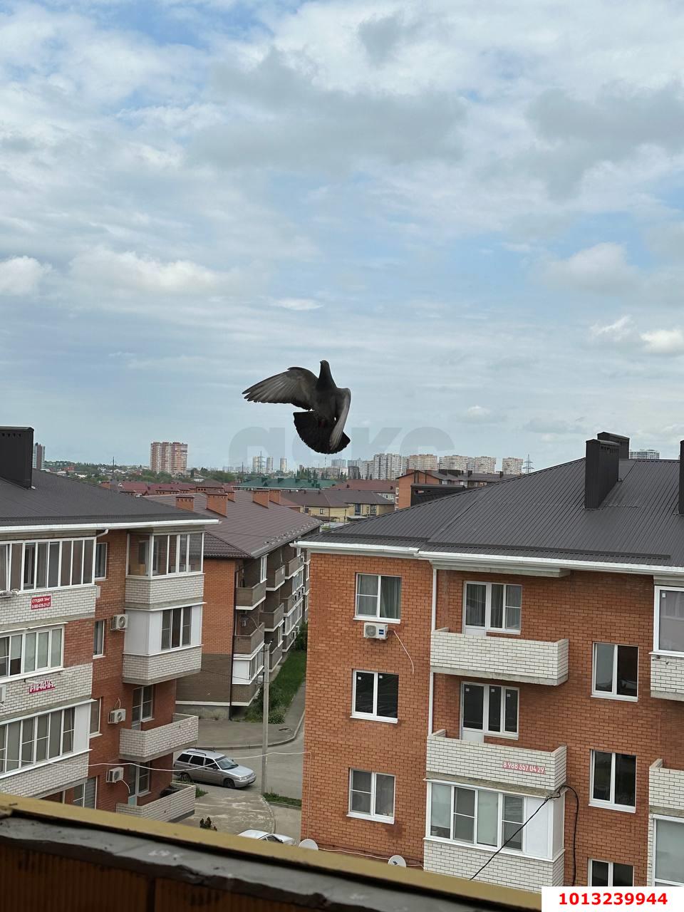 Фото №12: 1-комнатная квартира <span class="whitespace-nowrap">30 м²</span>, <span class="whitespace-nowrap">5/5 эт.</span> - Новая Адыгея, мкр. жилой комплекс Мята, ул. Бжегокайская, 23/1Ак4