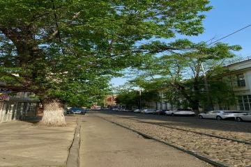 Фото №5: Коммерция 163 м² - Краснодар, мкр. Центральный, ул. Гоголя, 75