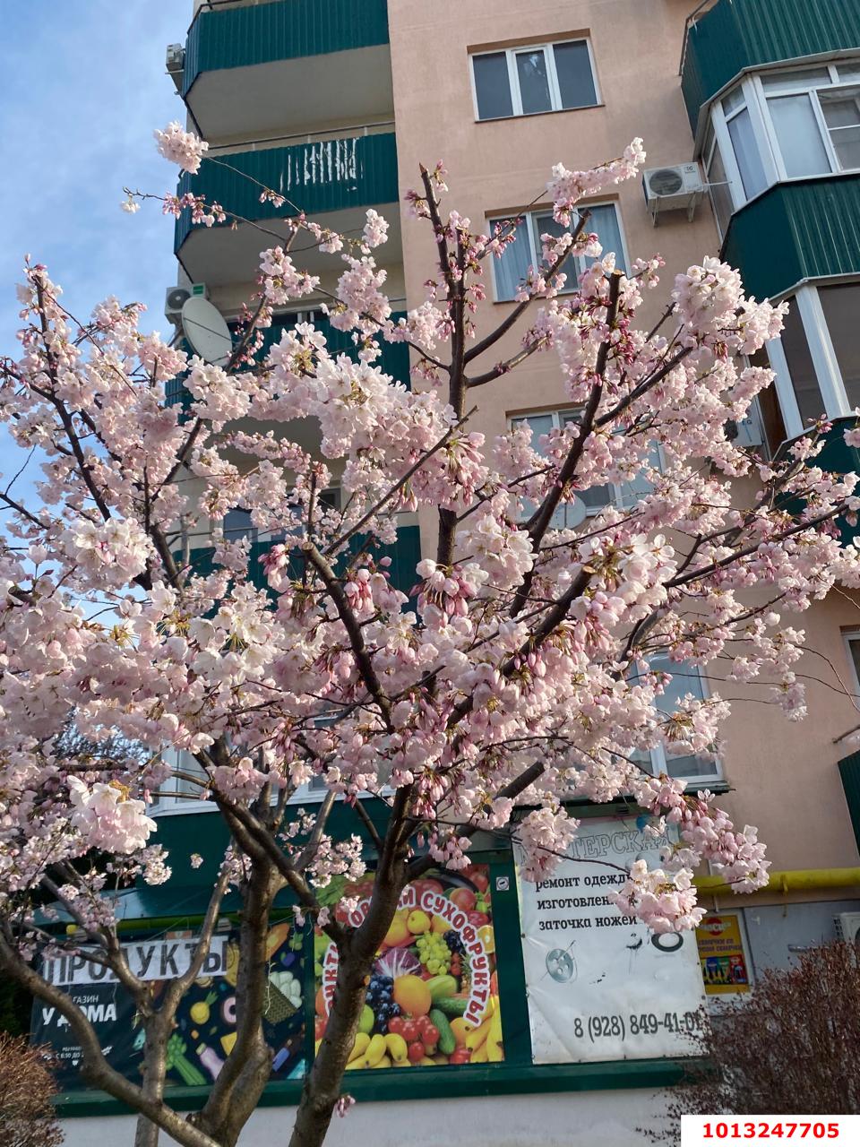 Фото №7: 1-комнатная квартира 40 м² - Яблоновский, мкр. жилой комплекс Солнечный, ул. Солнечная, 55/1к9