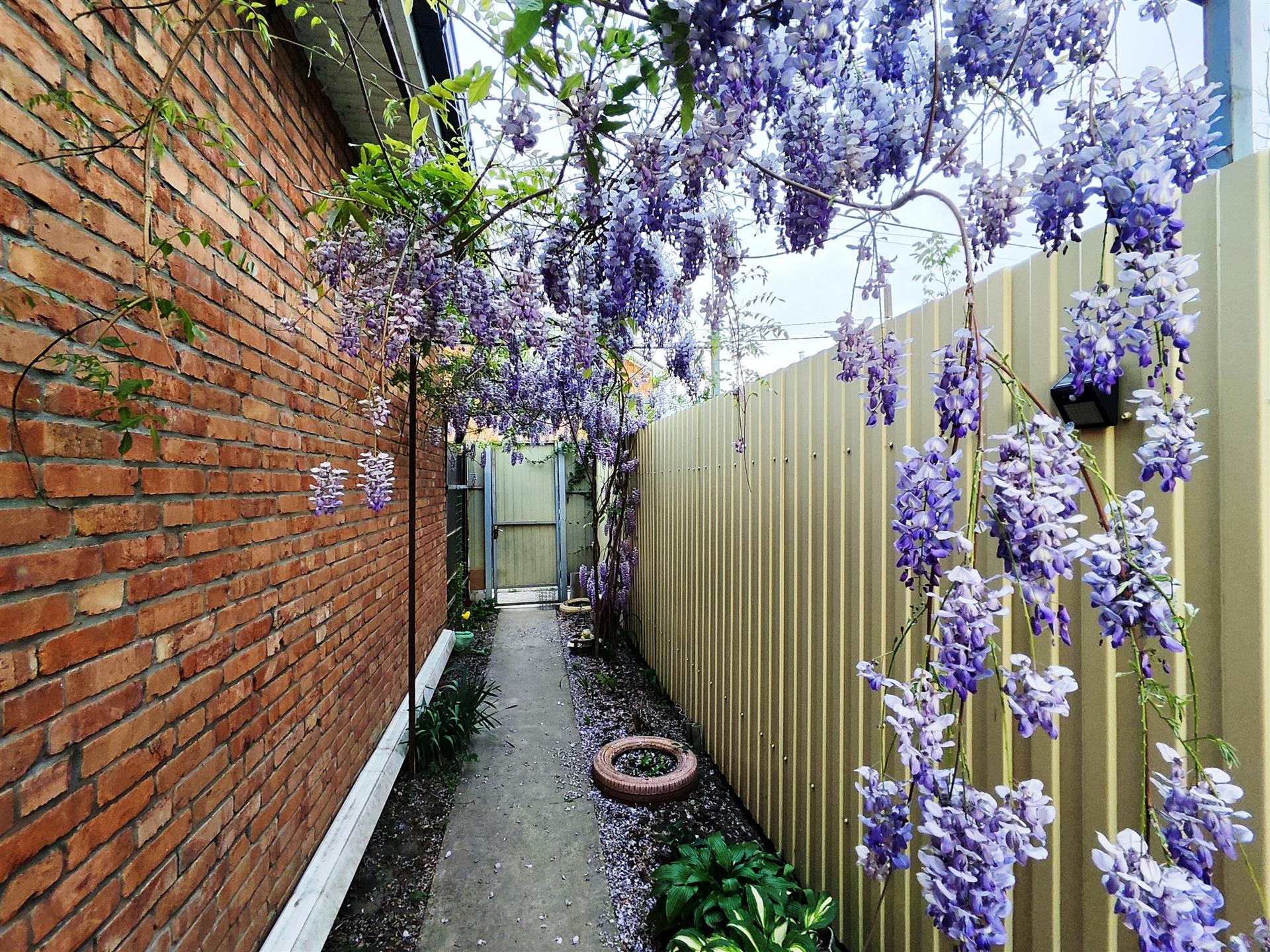 Фото №13: Дом 55 м² + 2.01 сот. - Солнечное, мкр. Прикубанский внутригородской округ, ул. Пионовая, 184