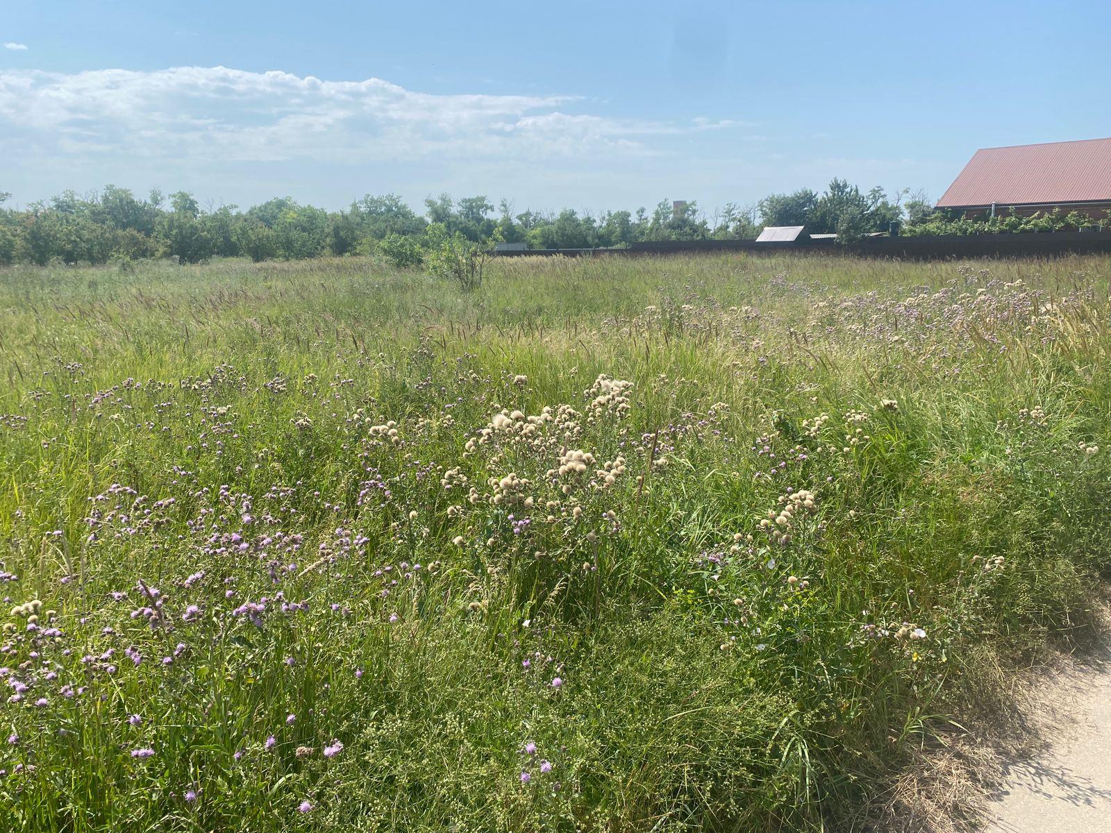 Фото №6: Коммерция 13 м² - Должанская, пер. Никольский, 24