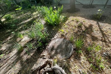 Фото №5: Земельный участок под ИЖС 5.07 сот. - Краснодар, мкр. 9-й километр, ул. Лазурная, 16