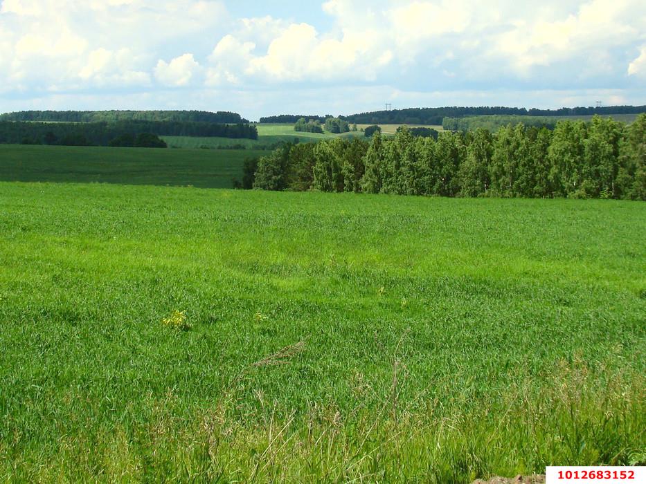 Фото №3: Участок садоводство 6 сот. - Елизаветинская, Зелёный Огонёк, ул. Персиковая, 191