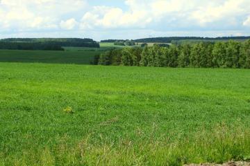 Фото №3: Земельный участок 6 сот. - Елизаветинская, ст Зелёный Огонёк, ул. Персиковая, 191