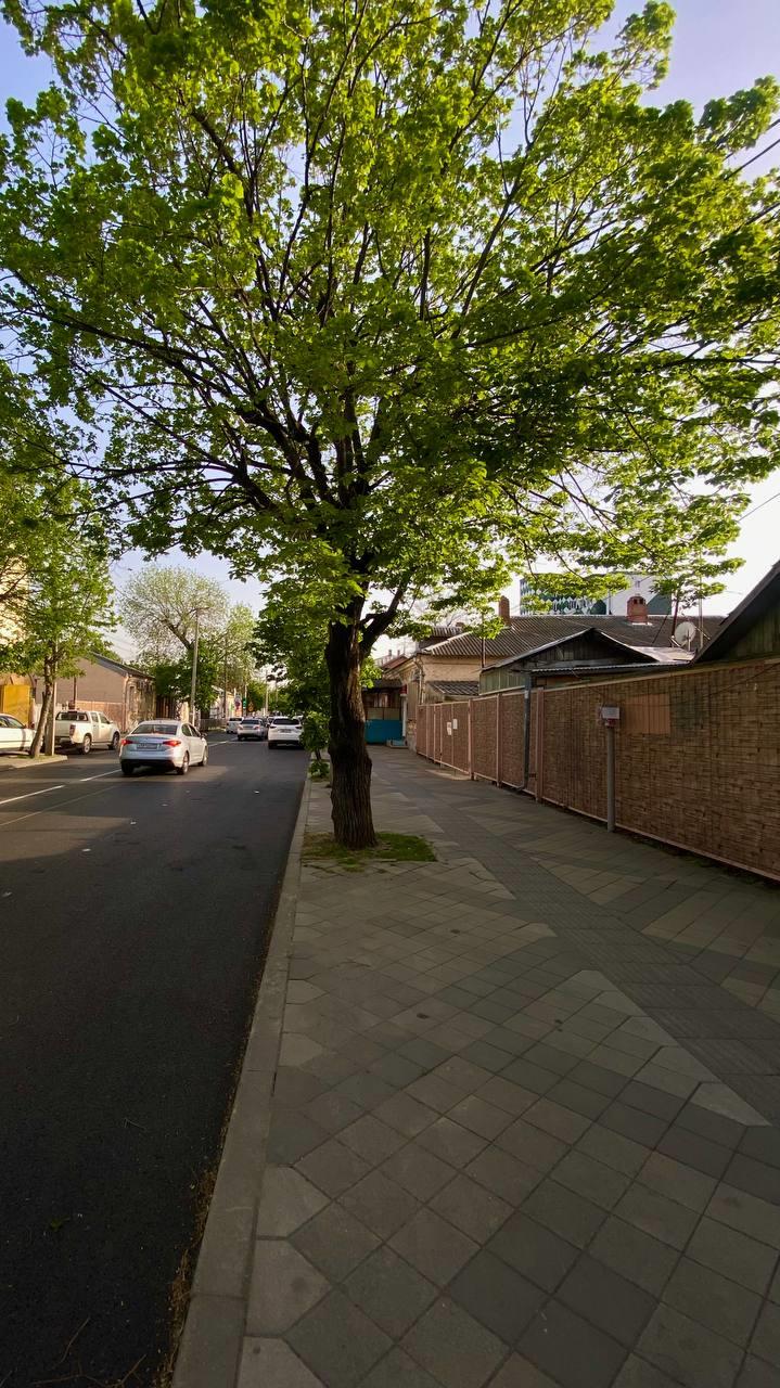 Фото №6: Коммерция 80 м² - Краснодар, Центральный внутригородской округ, мкр. Центральный, ул. Митрофана Седина, 99