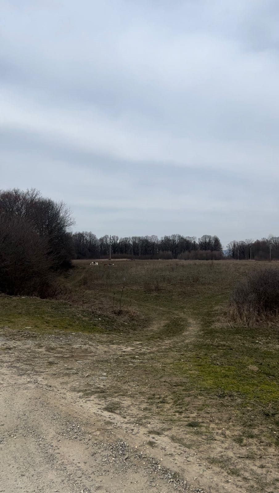 Фото №5: Коммерция 484 м² - Республика Адыгея (Адыгея) Майкопский район