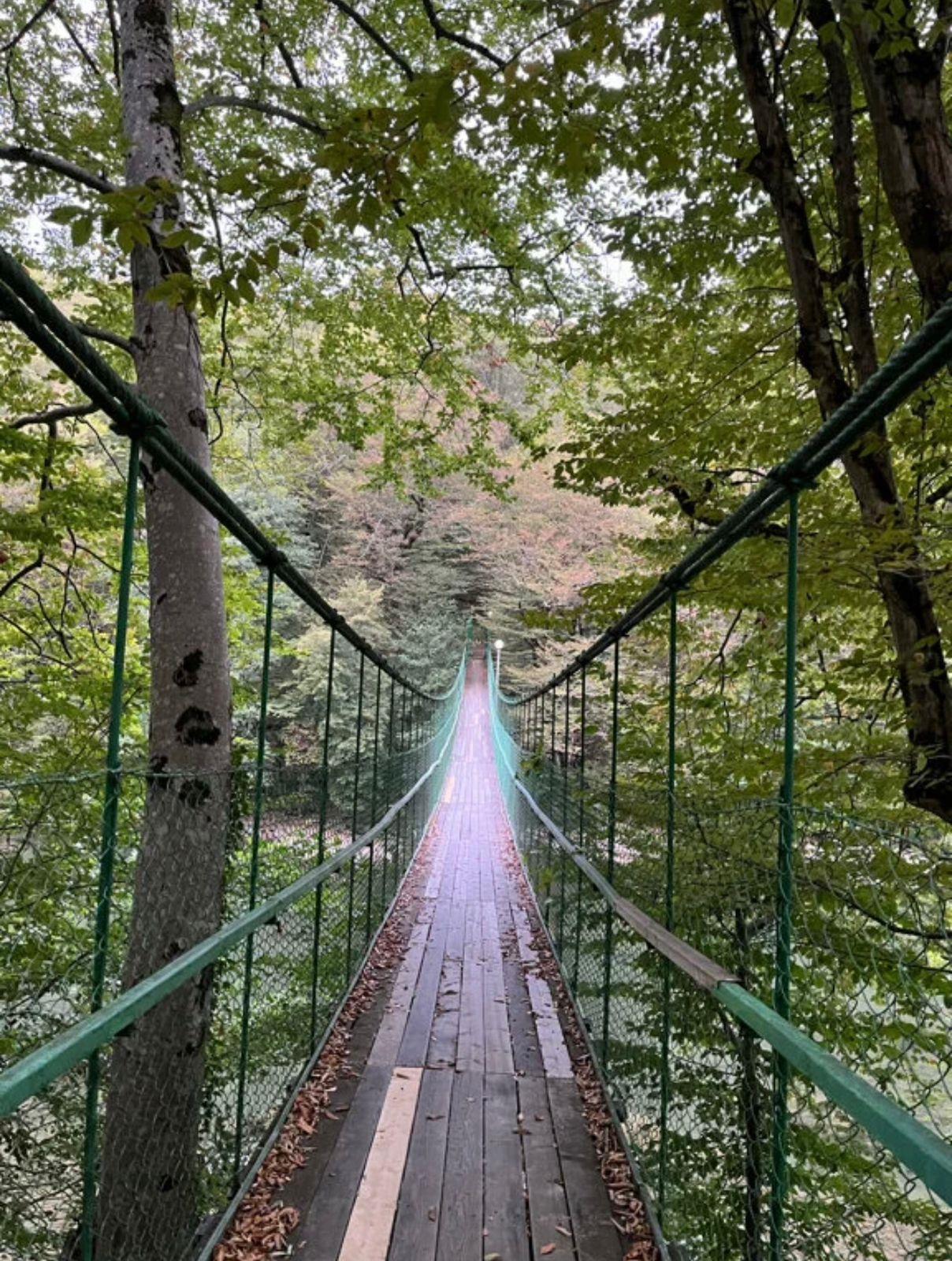 Фото №3: Коммерция 484 м² - Республика Адыгея (Адыгея) Майкопский район