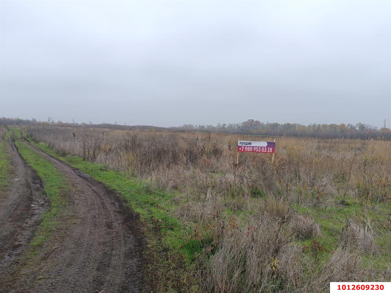 Фото №4: Земельный участок под ИЖС - Дружелюбный, мкр. Прикубанский внутригородской округ, ул. Дружелюбная, 25