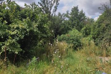 Фото №3: Земельный участок 5.71 сот. - Краснодаргорстрой, мкр. Прикубанский внутригородской округ, ул. 1-я Первомайская, 7