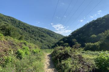 Фото №1: Земельный участок 4 сот. - Мамедова Щель, р. Лазаревский, ул. Ручейная